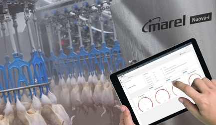 Почему новейшая технология потрошения так важна на перерабатывающем предприятии?