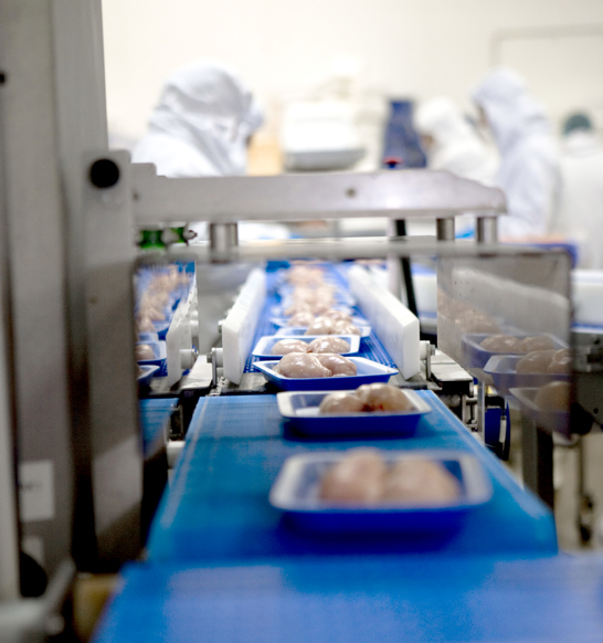 Sensorx Poultry Brochure Page (1)