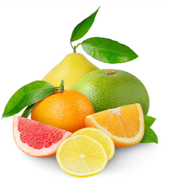 JBT-FPT-citrus-C-767x421-1