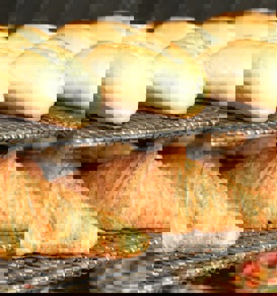 jbt_gyrocompact_bread