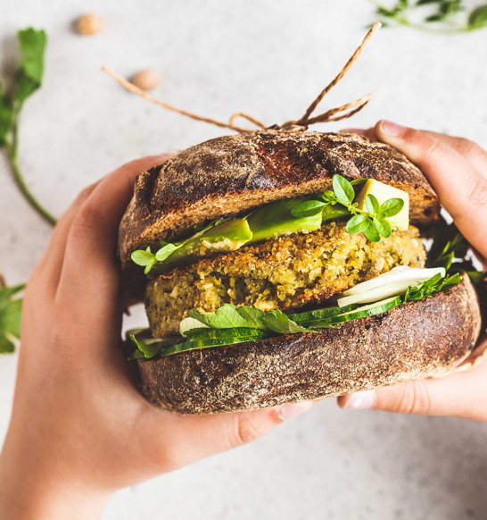 Plant Based Protein General