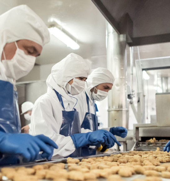 JBT Marel Production Site Chicken Nuggets Workers