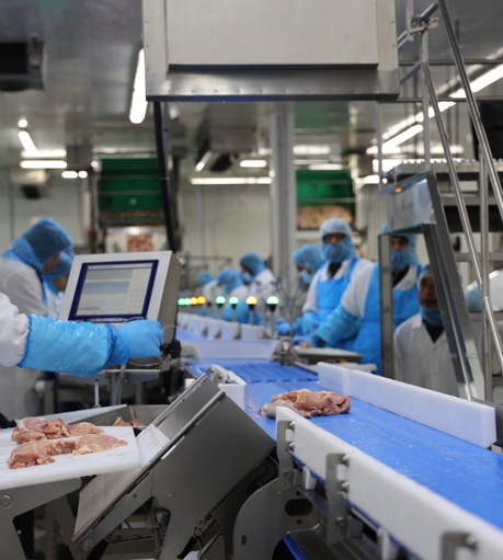 Central Bernard Streamline (1)