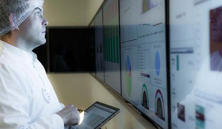 Первичный Процесс Обработки Говядины