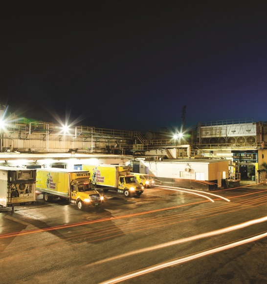 Jamaica Broilers Plant