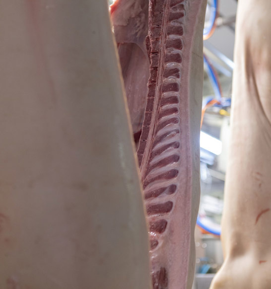 MSS TT M Line Splitting Saw 2