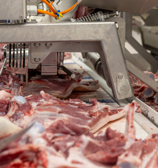 Blade Bone Remover In Operatiom 3