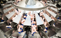 Service KnowHow: Getting the most from your Multihead Weigher
