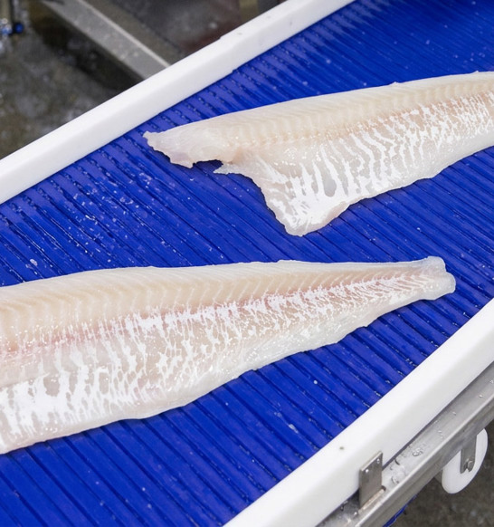 Skinned Whitefish