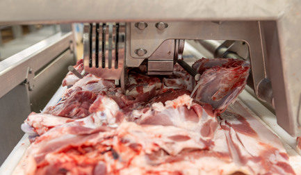 Schulterblatt-Entferner