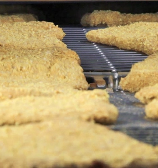 JBT-Alco-APT-PRO_breaded-chicken