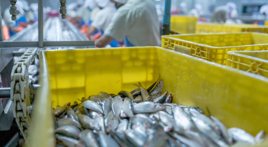 Axin Fish Receiving Software Solution