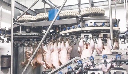 Более высокие стандарты качества компании Indrol