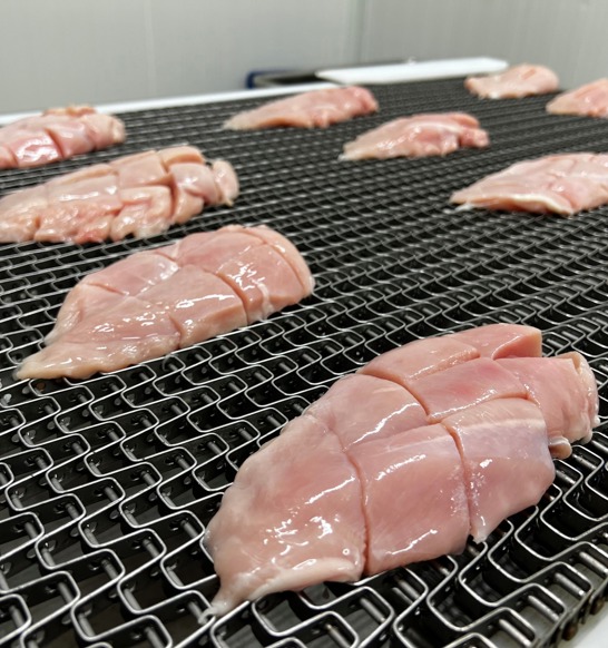 DSI Cubed Fillets On Belt