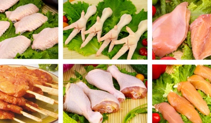 Новый завод производительностью 15 000 тушек в час для Zhonghong Sanrong