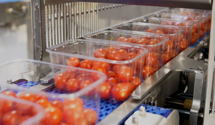 Energy-efficient tray-sealing: why JBT Marel Proseal's solutions make high speed savings