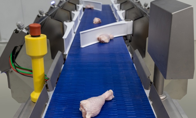 Solución flexible todo en uno para clasificación y loteado