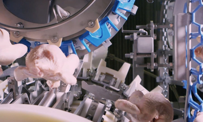 LineLink ELS