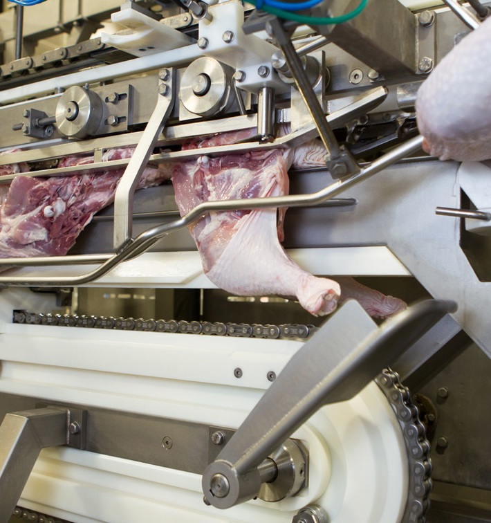 JL-R anatomic chicken leg cutter