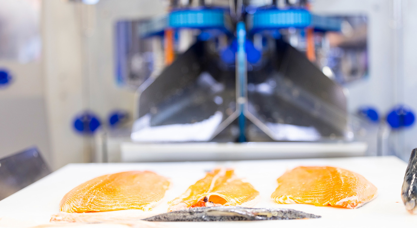 Barcelona Seafood 2025 Salmon Processing (1)