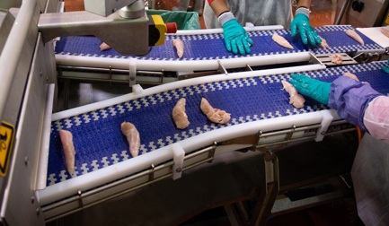 Автоматизированная Линия по Производству Пальчиков