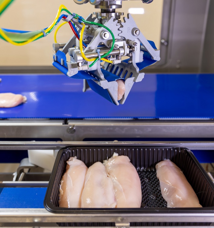 Packaging And Labeling Robopacker