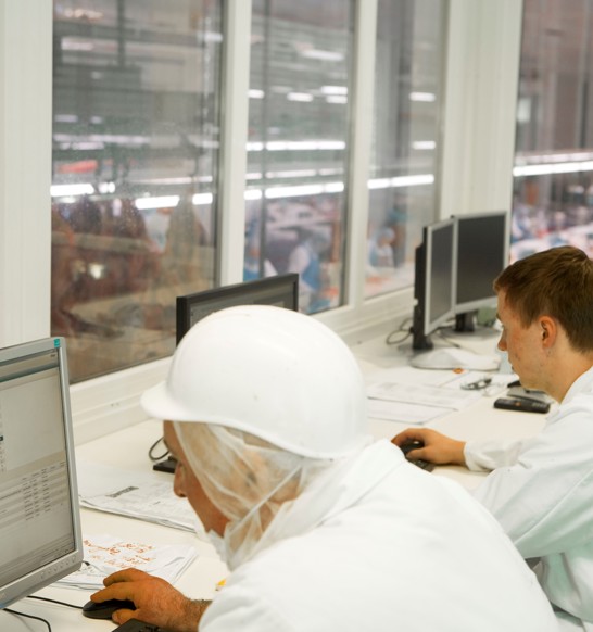 Employees looking at computer
