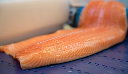 El fileteado inteligente al alcance de todos los procesadores