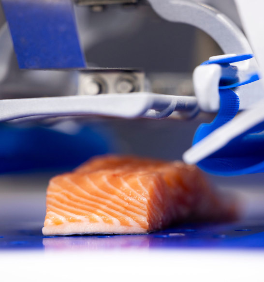 Robopacker Salmon Detail