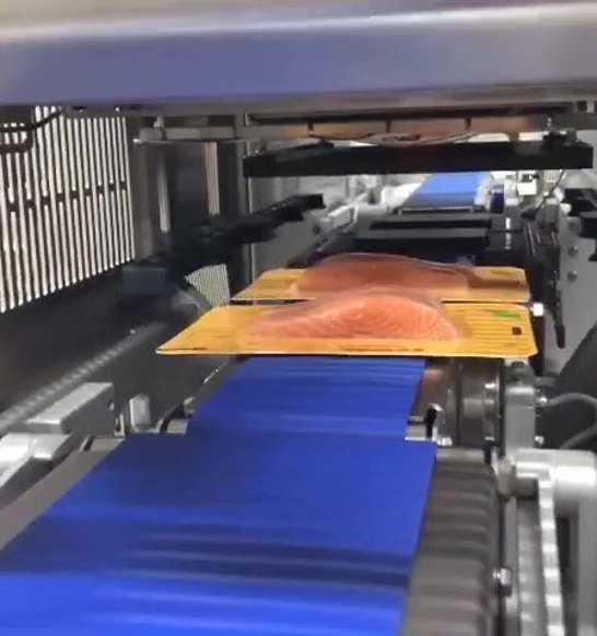 Tray Sealing Automatic Inline Salmon