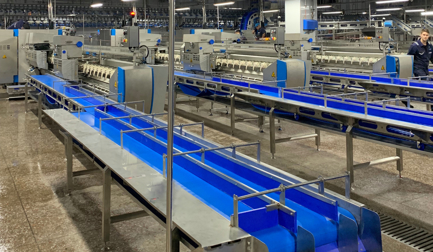 Xinsheng Boxing automates cut-up and deboning