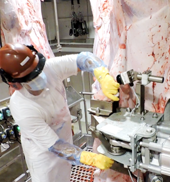 meat processing equipment