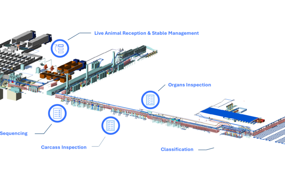 Pork Primary Process Solution Layout
