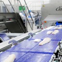 Fillet processing