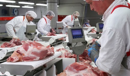 StreamLine für Schweinefleisch