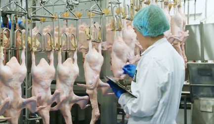 Premium duck drives Silver Hill Duck’s success