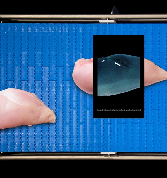 Marel’s SensorX, a revolutionary X-ray inspection technology sets the standard in bone detection