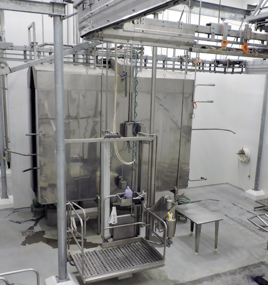 carcass wash beef processing