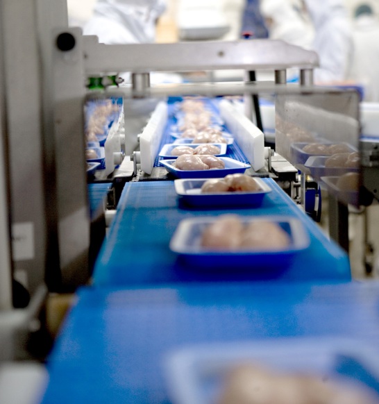 : X-ray inspection equipment for the protein industry delivers bone free meat and increases food safety