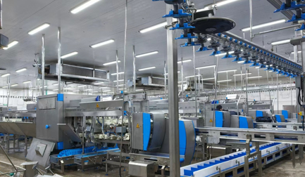 Xinsheng Boxing automates cut-up and deboning