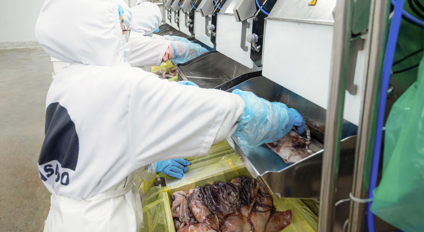 Peru Frost Smartline 1