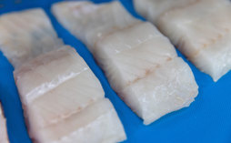 Seafood Expo NA 2026