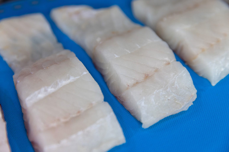 Seafood Expo North America 2026