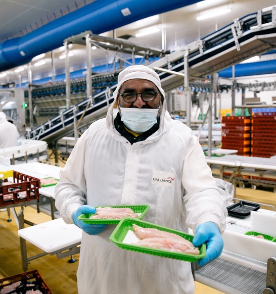 Galliance Show Products