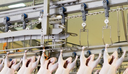 Estación de pesaje en línea