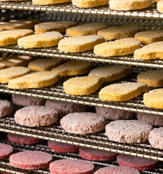 Frozen-products_GYRoCOMPACT_Frigoscandia