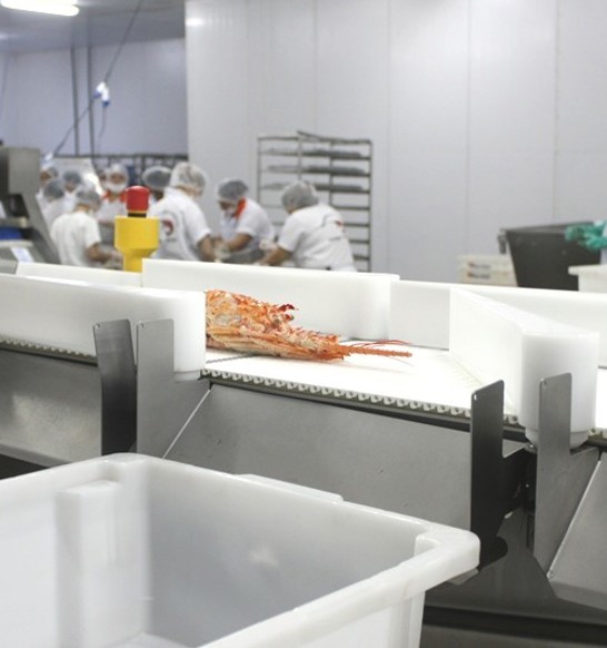 compex-pescados-lobster