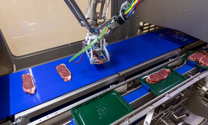 RoboPacker