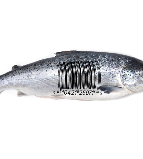 Innova Salmon Barcode