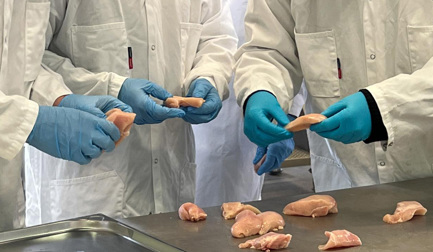 Improved yields, accuracy and substantial savings? Find out why the DSI 812 Waterjet Portioner is impressing processors Europe-wide